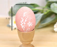 Wood Egg Rainbow Collection, Set of 6 eggs